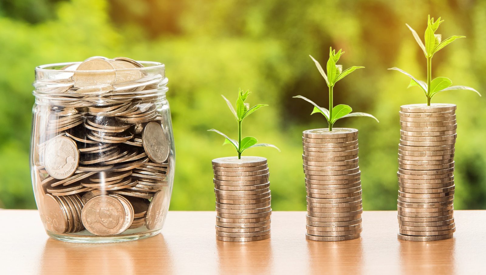 Coins stacked beside a small growing plant in a glass jar